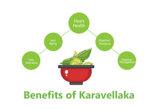Illustration for article titled Get Relief With The Karavellaka Ayurvedic Herb